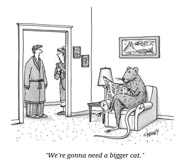 cartoon need bigger cat